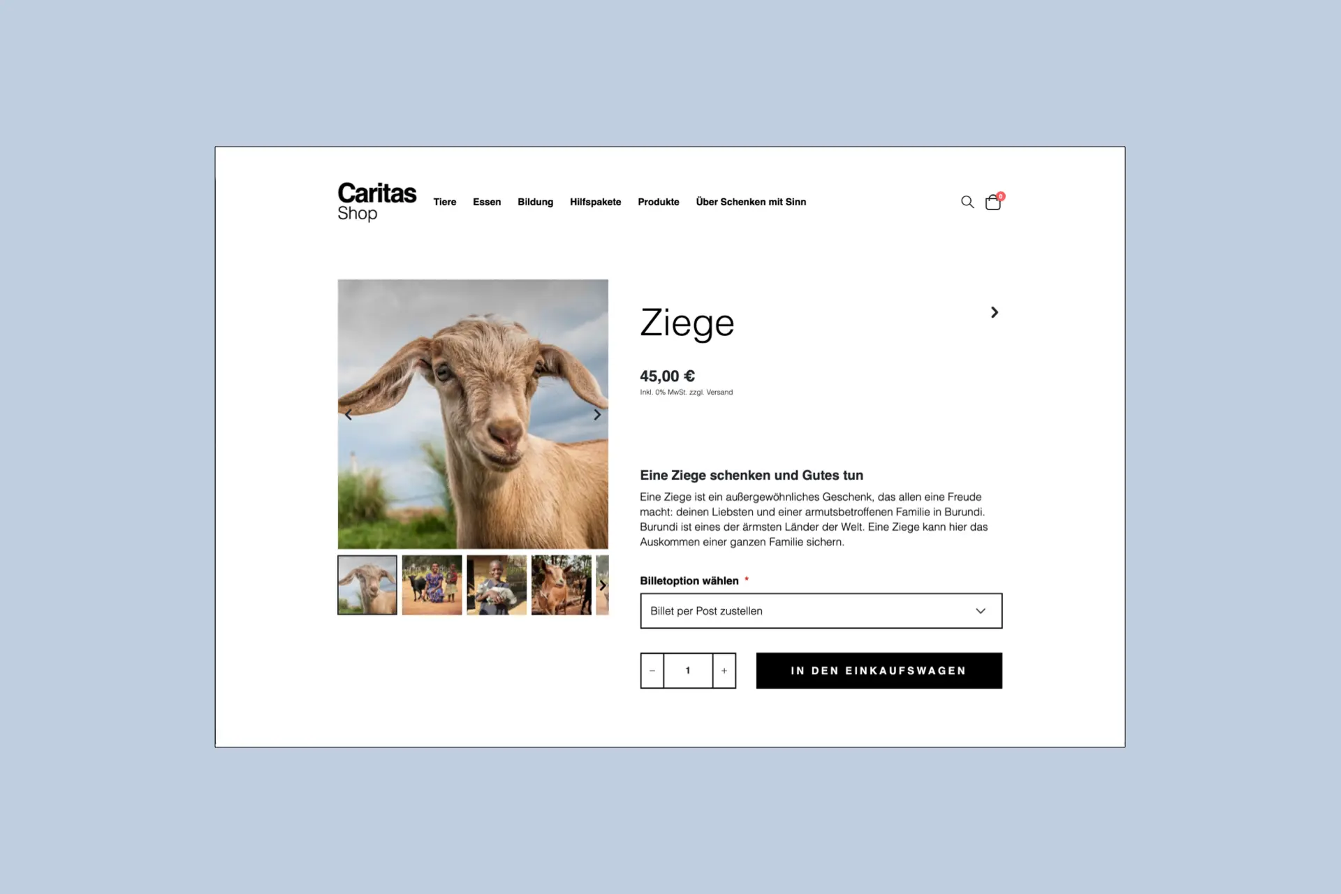 Bildschirmaufnahme des Caritas-Onlineshops – umgesetzt von i-kiu.