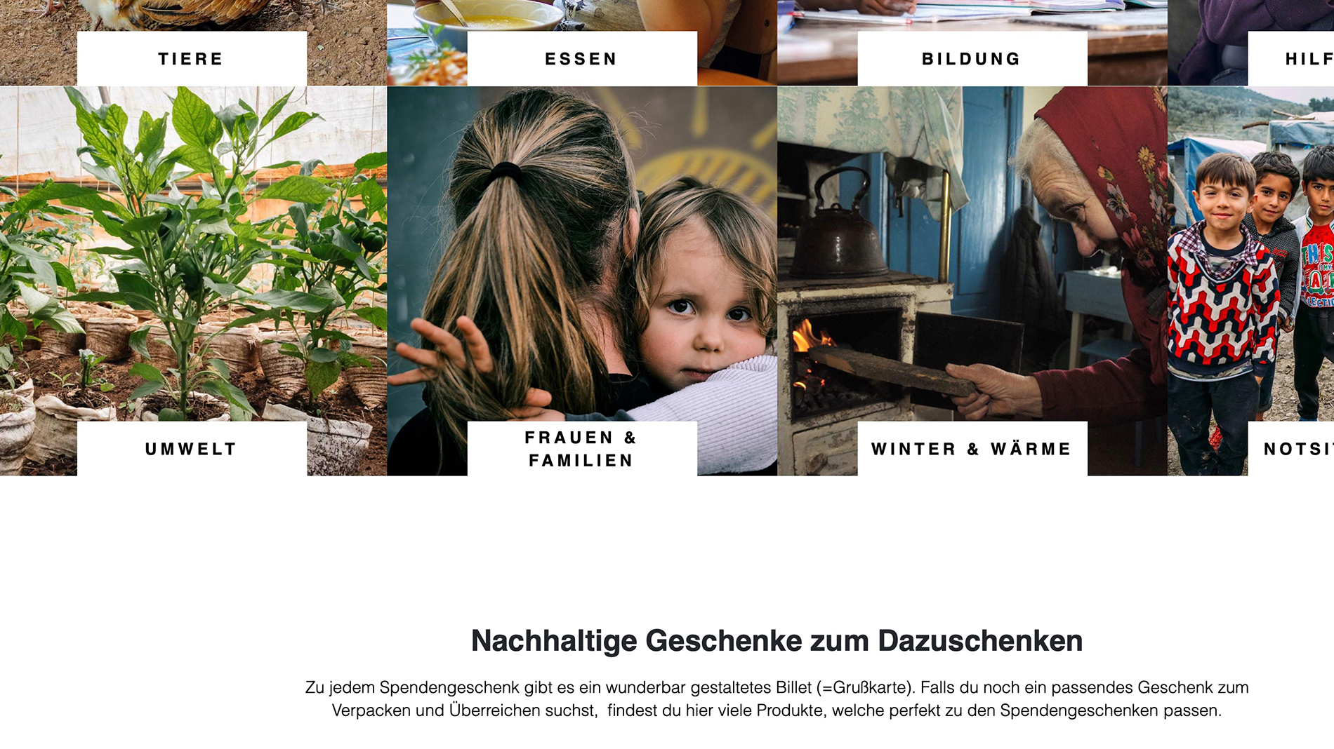 Bildschirmaufnahme des Caritas-Onlineshops – umgesetzt von i-kiu.